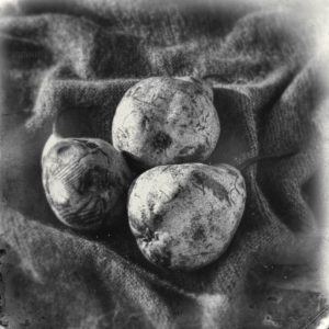 Pears #117
