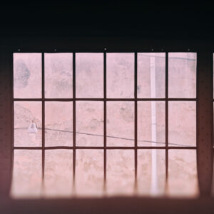 Window #5396